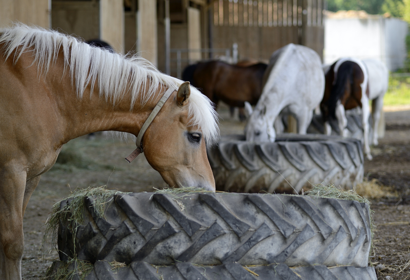 waste disposal Garden waste