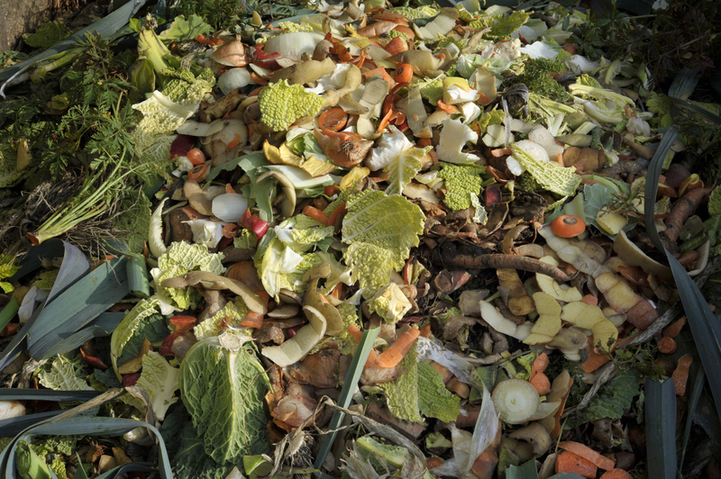 Understanding the Importance of Waste Clearance Services
